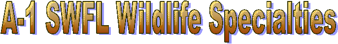 A-1 SWFL Wildlife Specialties